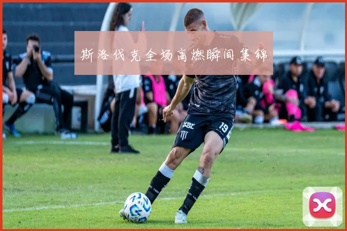斯洛伐克全场高燃瞬间集锦