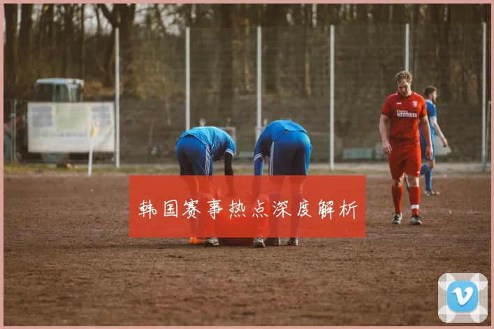 韩国赛事热点深度解析