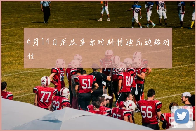 6月14日厄瓜多尔对科特迪瓦边路对位