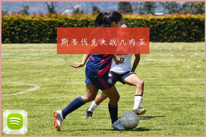 斯洛伐克决战几内亚