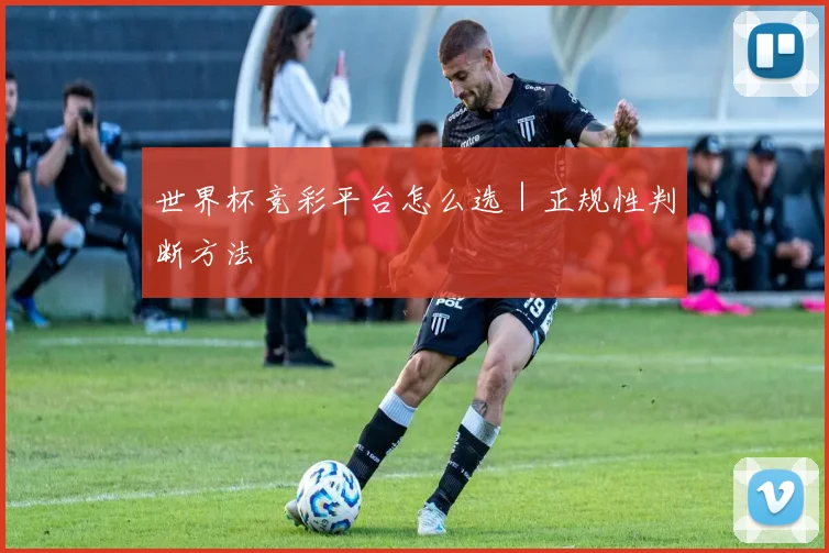 世界杯竞彩平台怎么选｜正规性判断方法