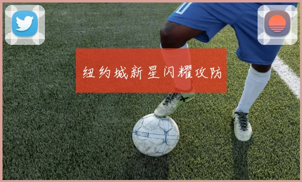纽约城新星闪耀攻防