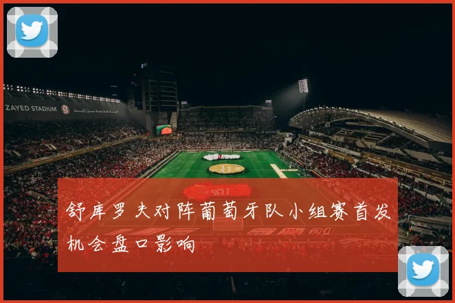 舒库罗夫对阵葡萄牙队小组赛首发机会盘口影响