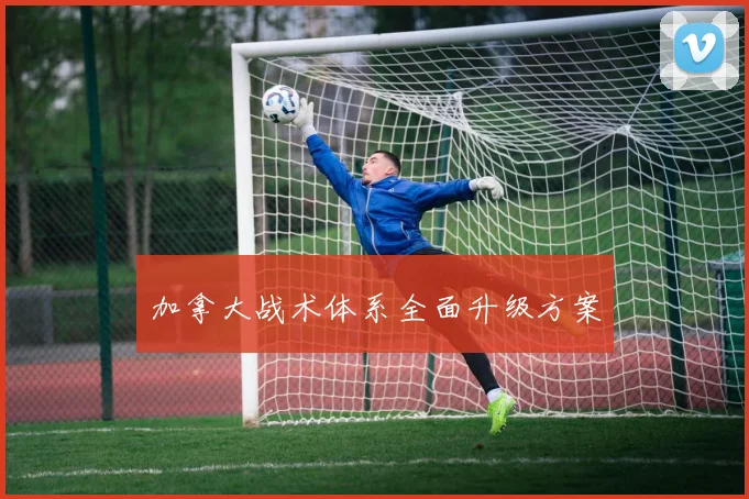 加拿大战术体系全面升级方案