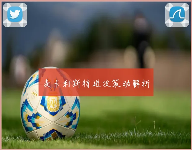 麦卡利斯特进攻策动解析
