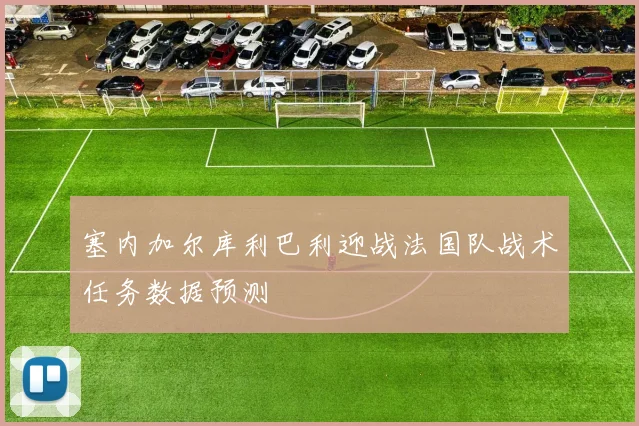 塞内加尔库利巴利迎战法国队战术任务数据预测
