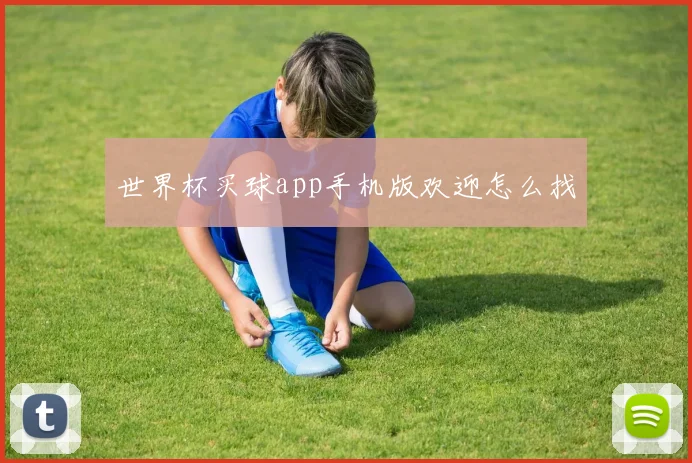 世界杯买球app手机版欢迎怎么找