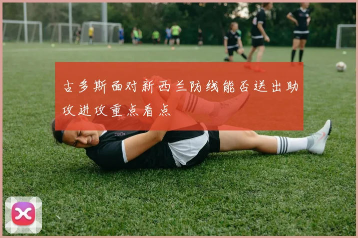 古多斯面对新西兰防线能否送出助攻进攻重点看点