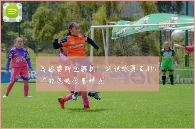马赫雷斯全解析：认识球员百科，不能忽略位置特点